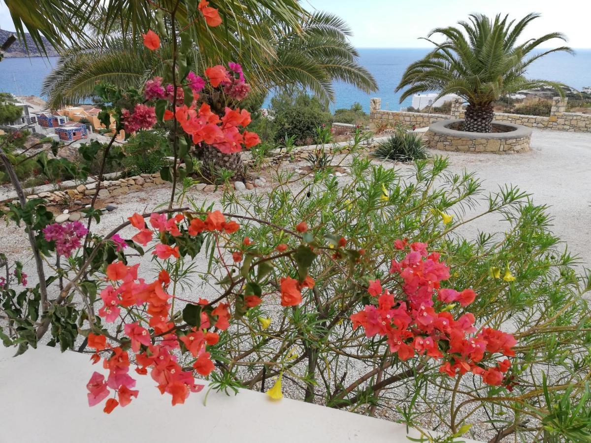 Tranquil Villa With Sea View In Ammopi Karpathos Amoopi Luaran gambar